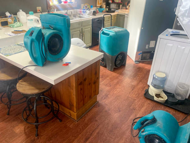 Best Water damage restoration cost  in Sugar Grove, IL