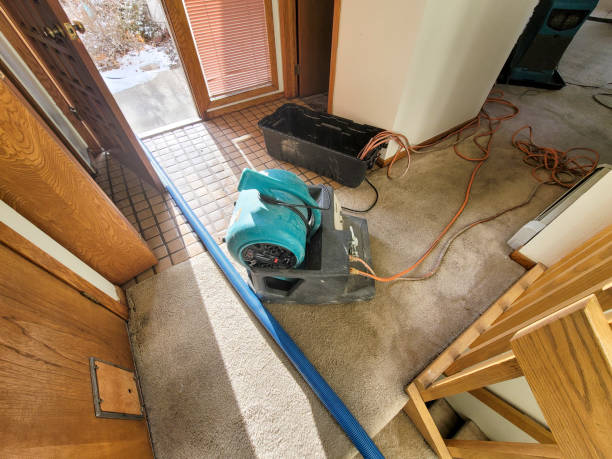 Best Basement water damage restoration  in Sugar Grove, IL
