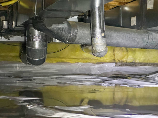 Best Basement water damage restoration  in Sugar Grove, IL