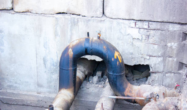 Best Basement water damage restoration  in Sugar Grove, IL