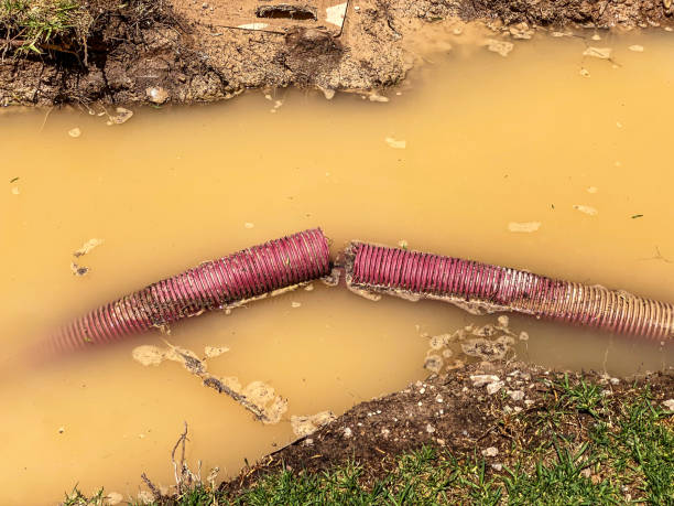 Sewage cleanup and water damage restoration in IL